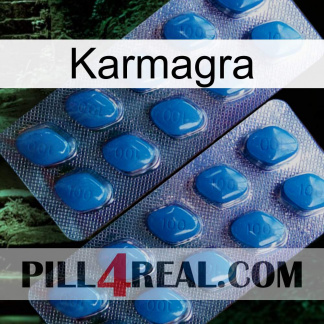 Karmagra viagra2